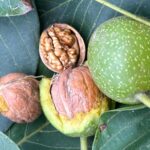 WhatsApp Image 2025-09-15 at 21.18.26_edbf5dd0